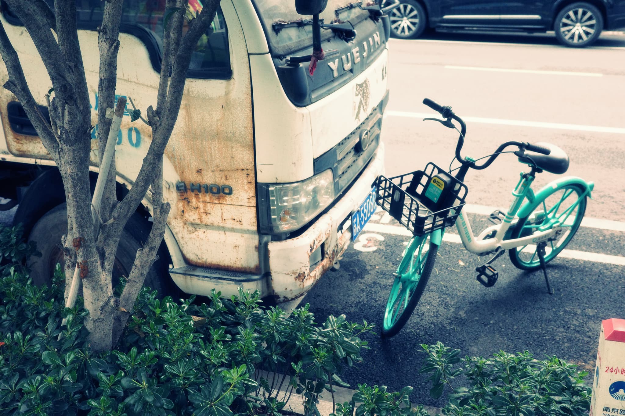 A rusty truck parked near a teal bicycle with a basket, positioned on a street beside a tree and greenery
