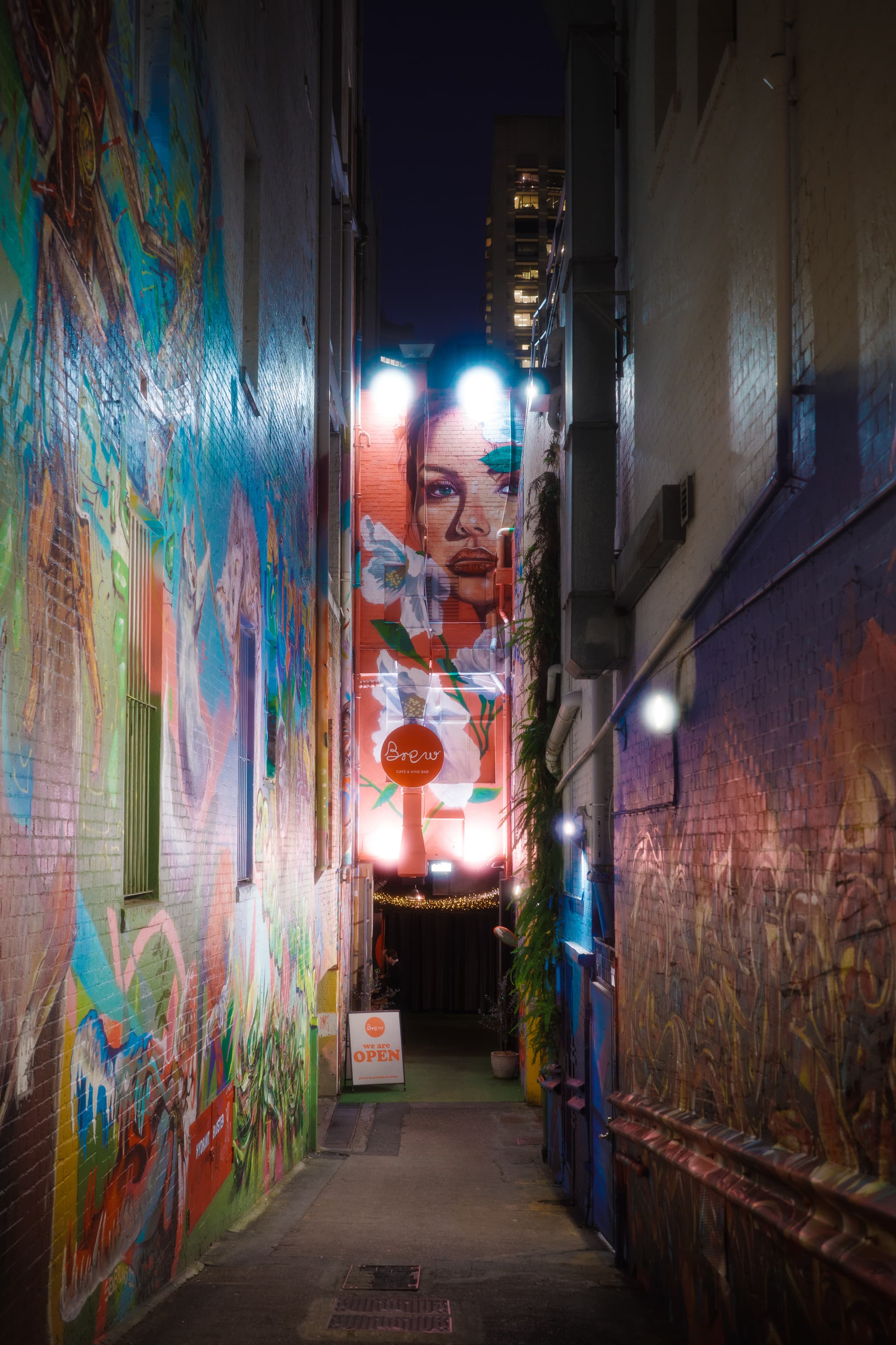 Narrow urban alley lined with colorful graffiti murals, featuring a tall portrait mural illuminated by streetlights at night