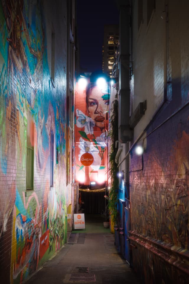 Narrow urban alley lined with colorful graffiti murals, featuring a tall portrait mural illuminated by streetlights at night