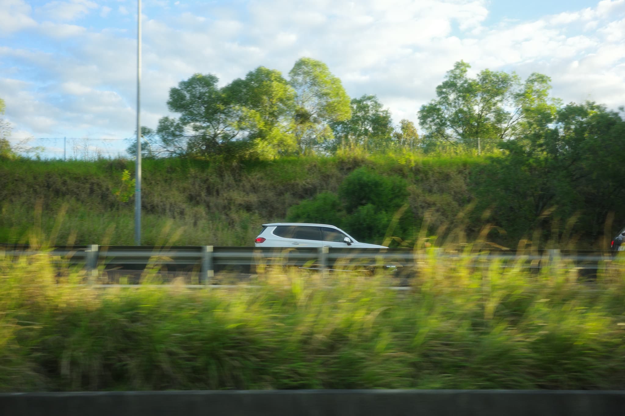 A white SUV drives along a highway bordered by tall grasses and dense trees under a bright, partly cloudy sky