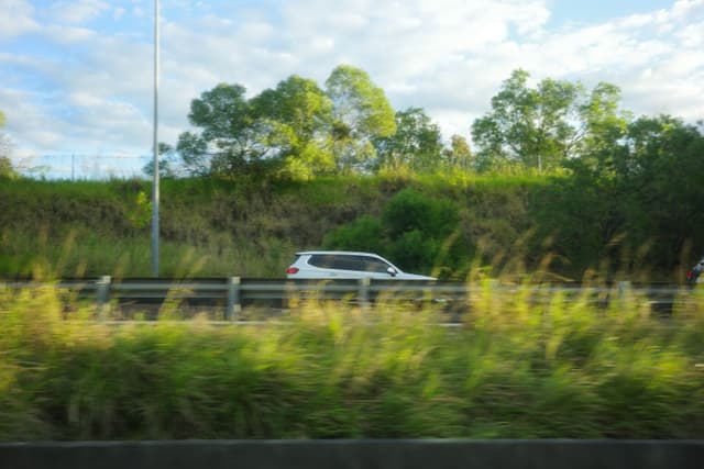 A white SUV drives along a highway bordered by tall grasses and dense trees under a bright, partly cloudy sky