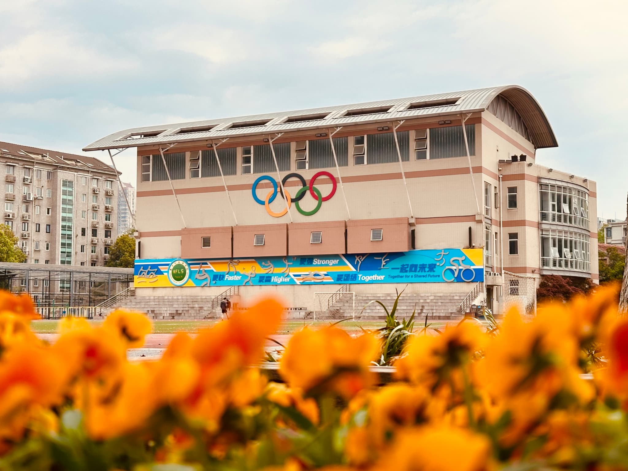 A building adorned with the Olympic rings, surrounded by vibrant orange flowers in the foreground