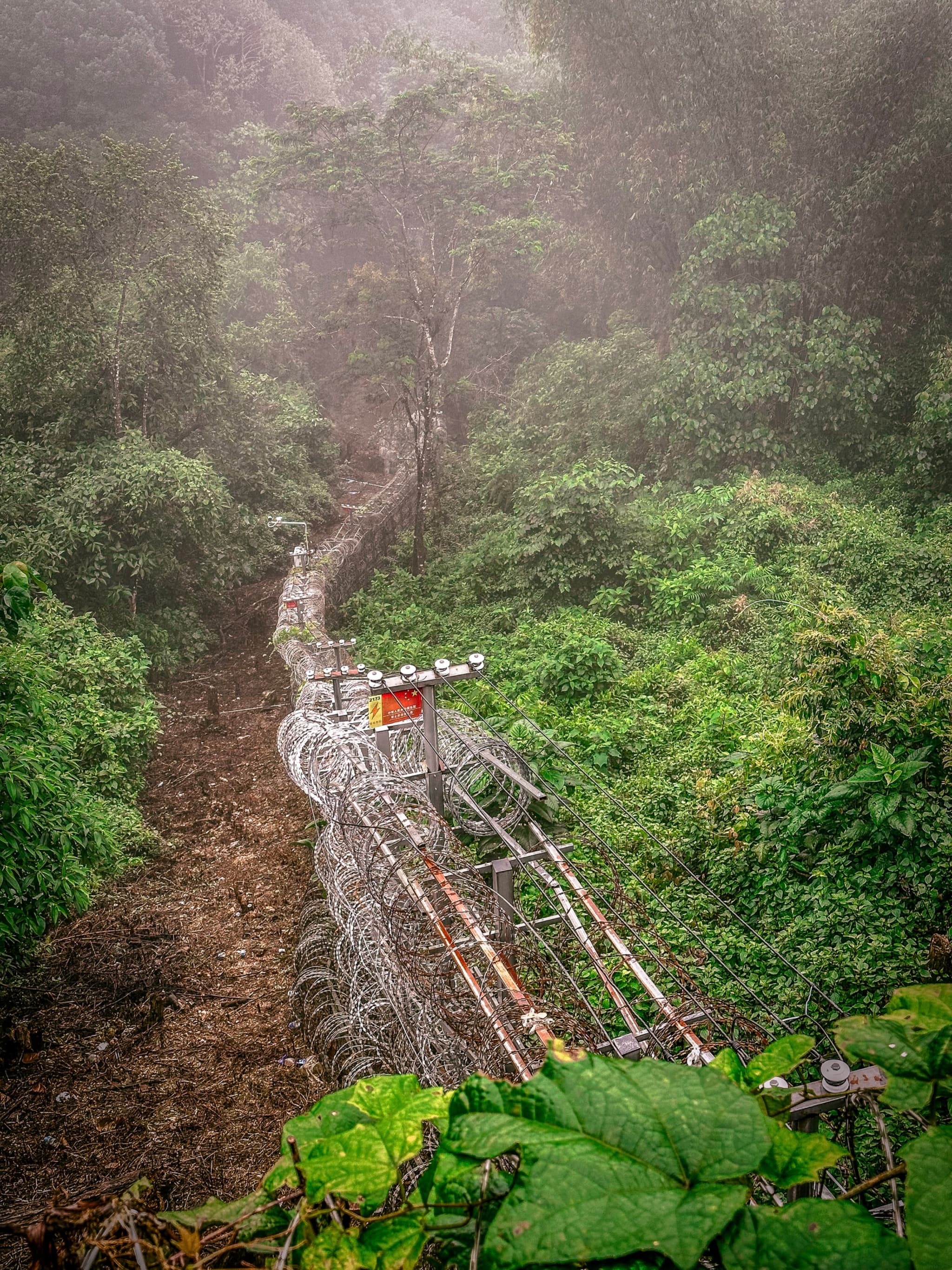 A misty mountainous landscape with a wired wall leading through lush greenery and a small bridge constructed of metal and wooden planks