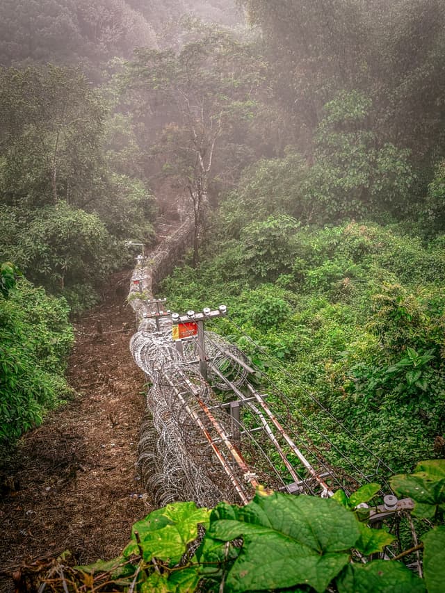 A misty mountainous landscape with a wired wall leading through lush greenery and a small bridge constructed of metal and wooden planks