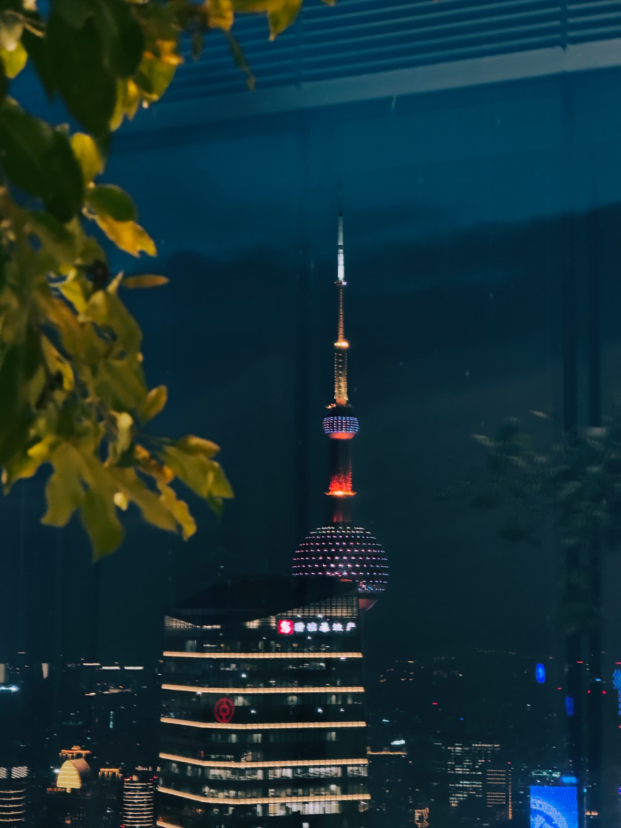 A nighttime cityscape viewed through a window, featuring illuminated skyscrapers and foliage in the foreground