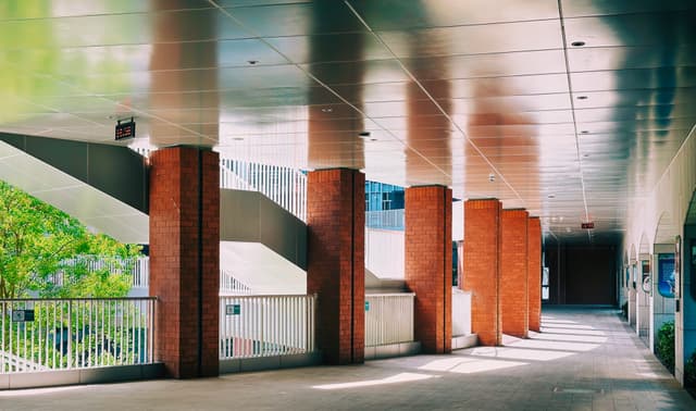 A sunlit walkway under an overpass with large columns and trees in the distance