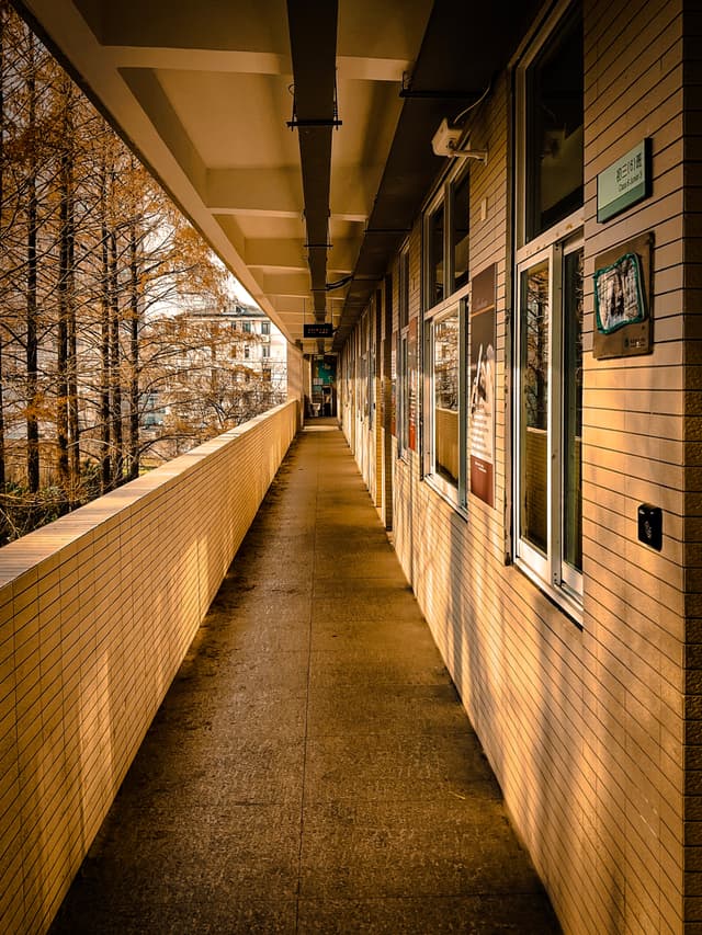 A warmly lit corridor with a row of windows on one side and a wall on the other, leading to a vanishing point, with trees visible outside