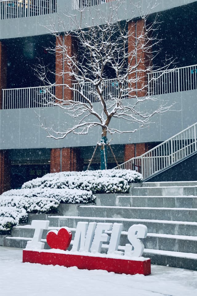 Growing in snow